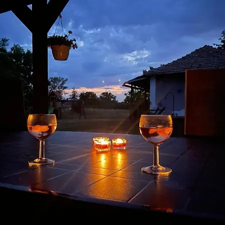 Holiday home Favorite Vendeghaz *